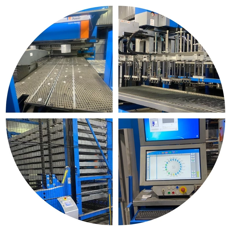 collage (4) (1).webp